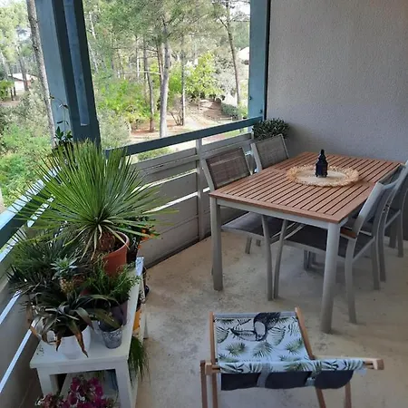 Lacanau-ocean T3 Terrasse 50m2 Au Sein D'un Complexe Touristique Apartment