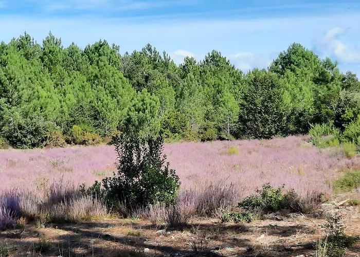 Lacanau-ocean T3 Terrasse 50m2 Au Sein D'un Complexe Touristique Lacanau